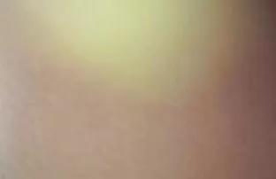 Excepcional cuarteto lesbianas sexy amateur latino vip divertido