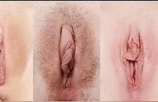 Zorra negra diamante se folla porno latino amateir a dos gangstas