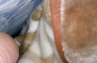GEILE REIFE pormo amateur latino FOTZE 382