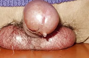 Webcam crónicas 405 amateut latino